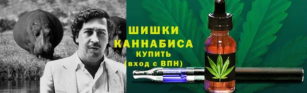 PSILOCYBIN Балабаново