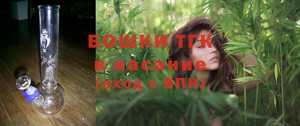 PSILOCYBIN Балабаново