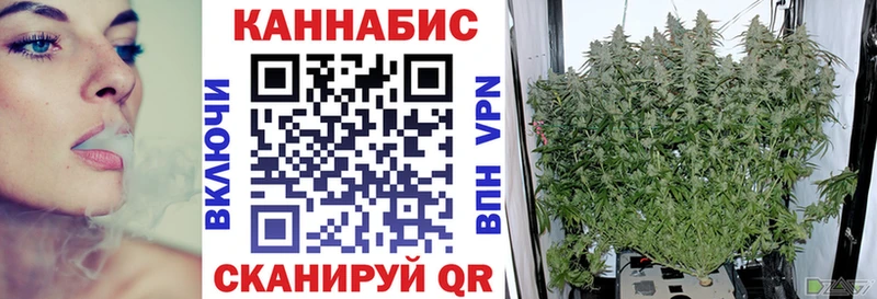 Каннабис OG Kush Зея